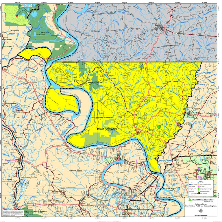 Reference/w_feliciana001.jpg